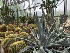 -北京植物园-展览温室