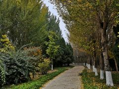 -渤海大学(松山校区)