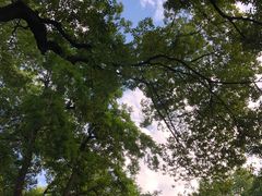 -常州古运河南大街文化旅游区-人民公园