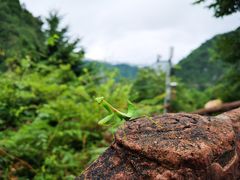 -云中大漈