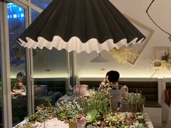 -春树下·树屋花房西餐厅(罍街AS1980店)