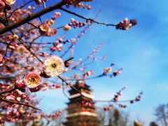 -安徽八里河旅游区