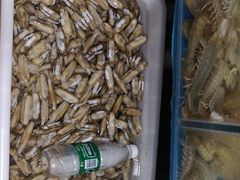 -宾朋海鲜特色美食餐厅·纯手工鲅鱼水饺(兴海路店)