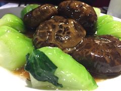 &nbsp;香菇青菜-糖朝(尖沙咀店)