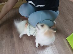 -益友堂盲人推拿正骨穴位按摩工作室