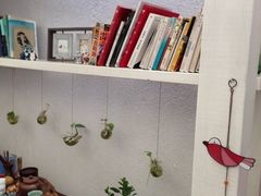 -燕庭·纯燕窝·甜品下午茶(南京西路店)