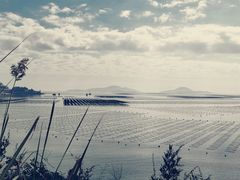 -北岐滩涂
