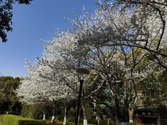 -昆山城市公园