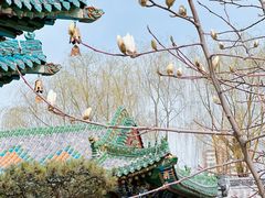 -迎泽公园