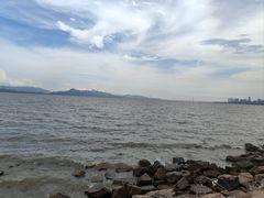 -深圳湾公园(南山区)