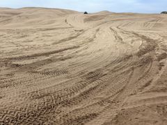 -银肯塔拉沙漠生态旅游景区