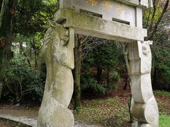 -四明山国家森林公园