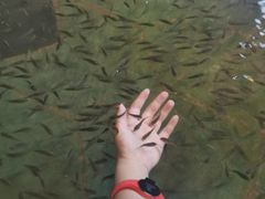 -汤乐汇•足道•SPA生活馆