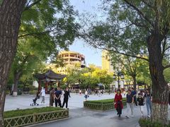 -文瀛公园