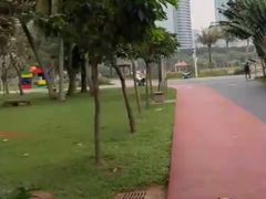 -万绿园