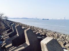 -上海滨江森林公园