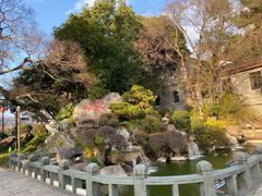 -江心屿景区