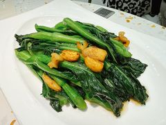生炒广东菜心-大树餐厅(环球港店)