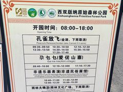 -西双版纳原始森林公园
