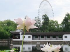 -无锡蠡湖国家湿地公园-蠡园