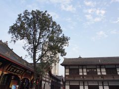 -古大圣慈寺