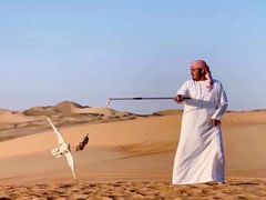 -阿布扎比沙漠皇宫酒店水疗中心