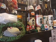 -金龙咖喱