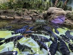 -上海海洋水族馆