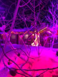 -圣名游乐城冰雪大世界