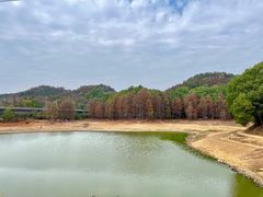 -青龙山国家森林公园