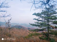 -遵化市禅林寺古银杏风景园