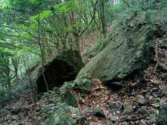 -梧桐山风景名胜区