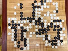 -智韵素养黎明练字(莘庄校区)