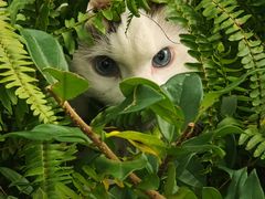 -KUYE·裤爺炼金室·银饰DIY(大运河店)