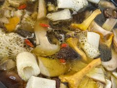 -蘑统田下·野生菌火锅