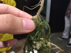 -三亚亚龙湾五号度假别墅酒店
