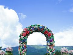 -丽江植物园