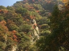 -少华山国家森林公园