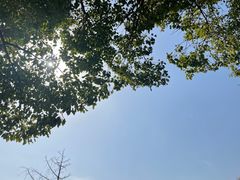 -梁鸿国家湿地公园