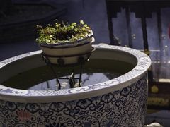 -长春观