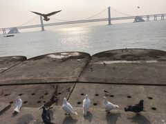 -星海广场