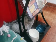 -H立方实景剧情密室(天河旗舰店)
