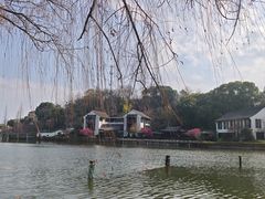 -鲁镇