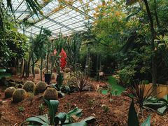 -呀路古热带植物园