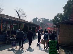 -秀丽东方