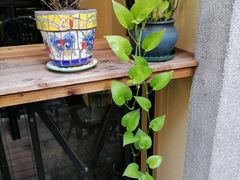 -徐家汇源景区-衡山坊