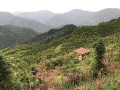 -红峡谷