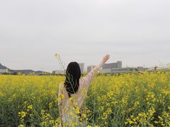 -光明小镇欢乐田园