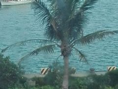 -白沙湾海滩