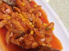 -大鸿运酒店·苏州菜·松鼠桂鱼(观前街店)